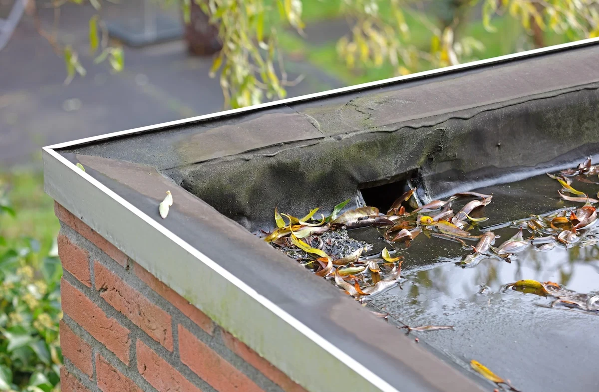 Drainage